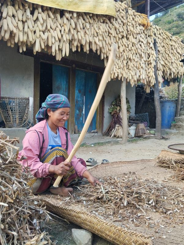 Fields Without Safety Nets: Analysis of Gendered Informality in the Agricultural Sector and Cost of Social Insecurity