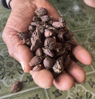 Empowering Farmers in Chainpur, Sankhuwasabha for Direct Export and Sustainable Production of Large Cardamom